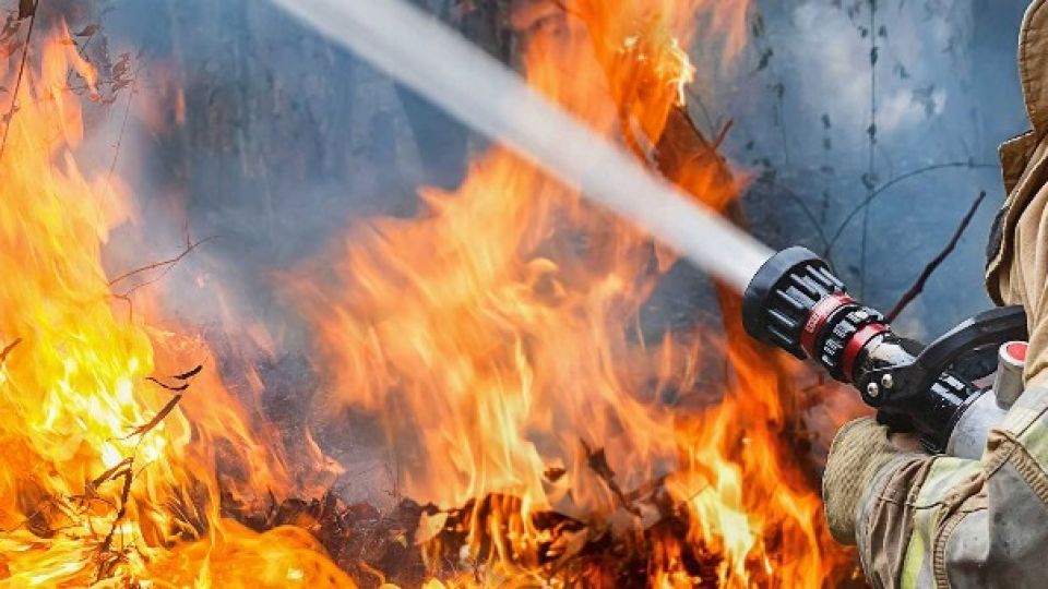 intothefire_1920.jpg